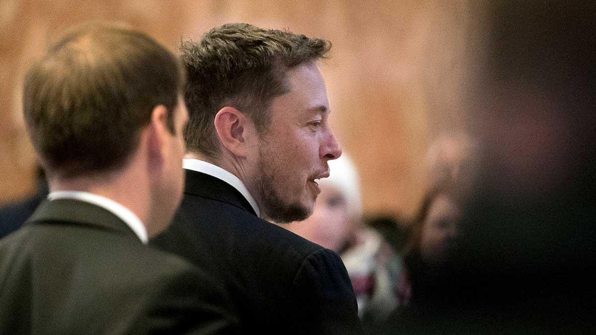 Falska nyheter sprids om Tesla-grundaren Elon Musk. (Foto: TT)