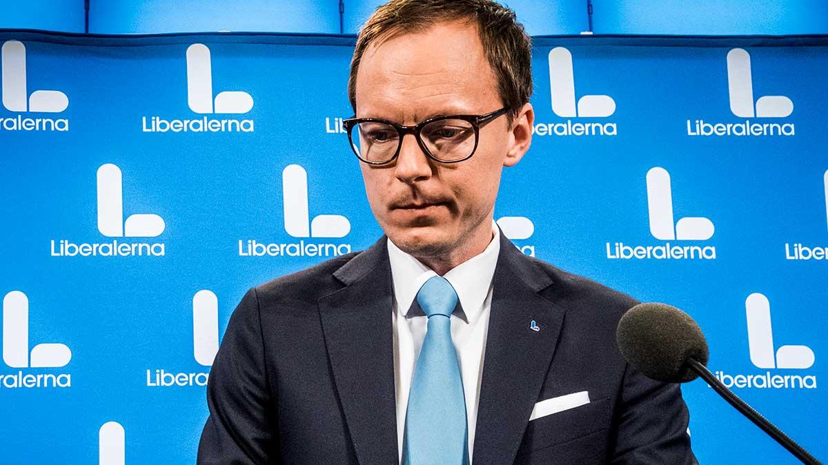 Liberalernas ekonomisk-politiska talesperson Mats Persson. (Foto: TT)