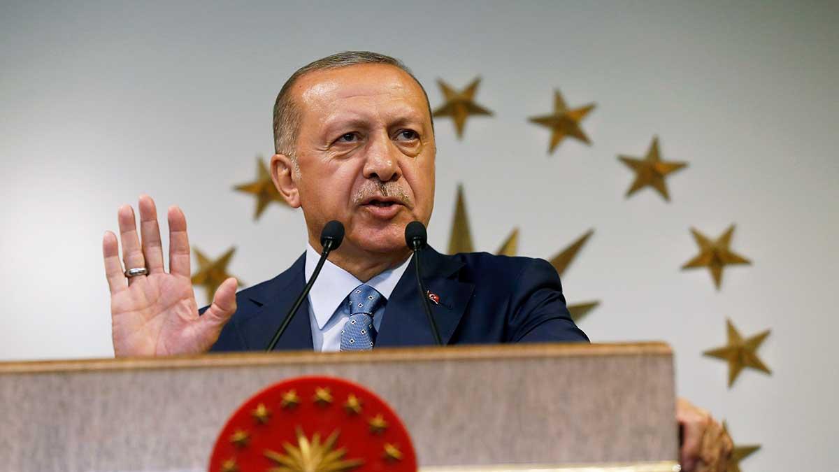 Erdogan vann valet i Turkiet. Det bekräftar nu valmyndigheten. (Foto: TT)
