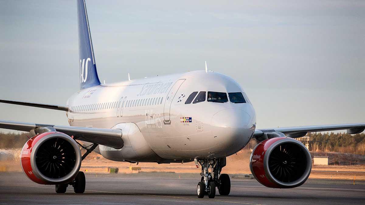 SAS koras till Europas bästa flygbolag. (Foto: TT)