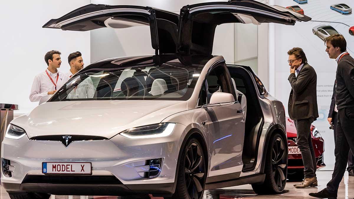 Kommande Tesla Y blir en mindre variant av nuvarande värstingen Model X (bilden). (Foto: TT)