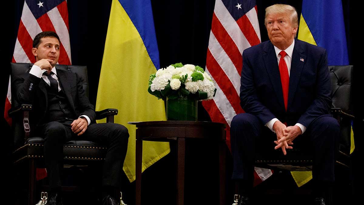 Ukrainas president Volodymyr Zelenskyj och USA:s president Donald Trump. (Foto: TT)