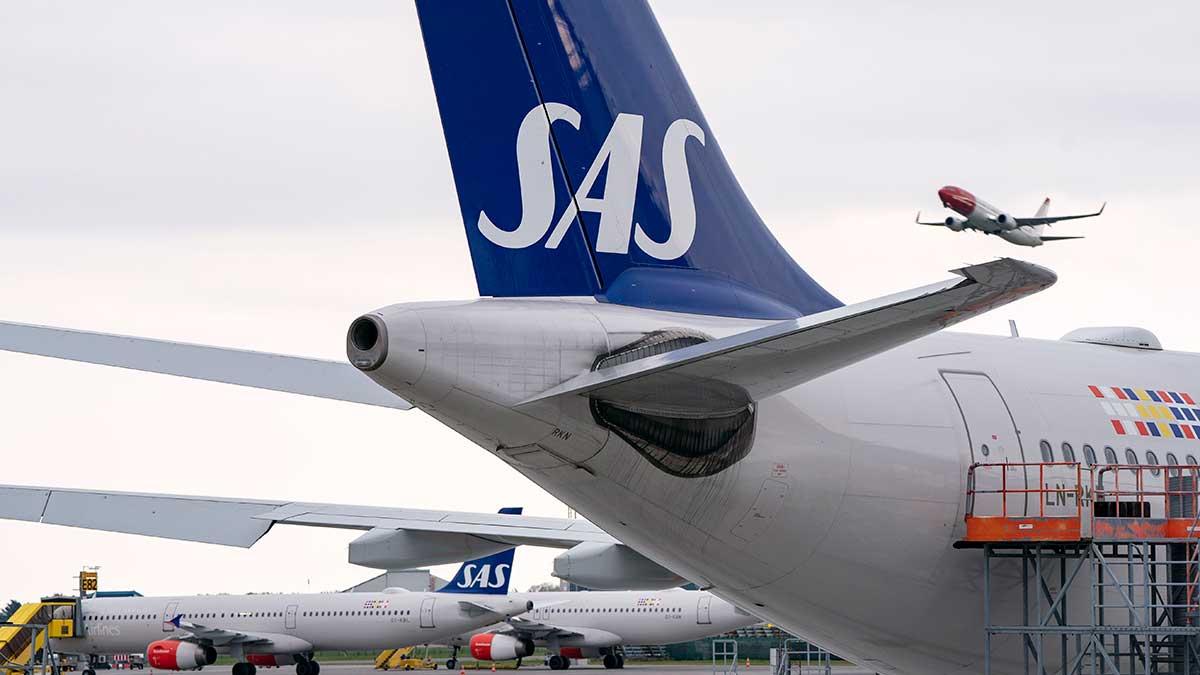 Flygbolaget SAS lanserar ett nytt aktieägarprogram som erbjuder reseförmåner för aktieägare som är Eurobonus-medlemmar och äger mer än 4 000 aktier. (Foto: TT)