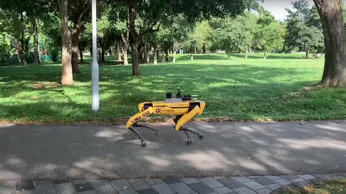 En fyrbent robot patrullerar Bishan-Ang Mo Kio Park i Singapore för att övervaka social distansering. (Foto: The Straits Times)