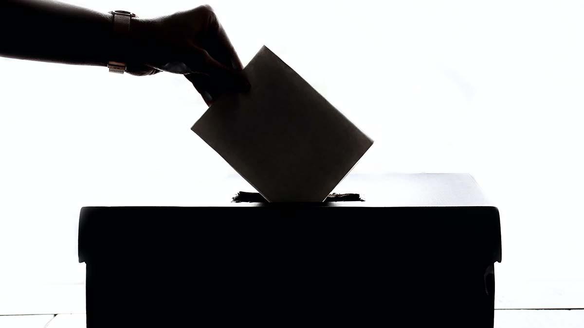 Sverige norpar en förstaplats på listan över valdeltagande. (Foto: Unsplash) Valsystem