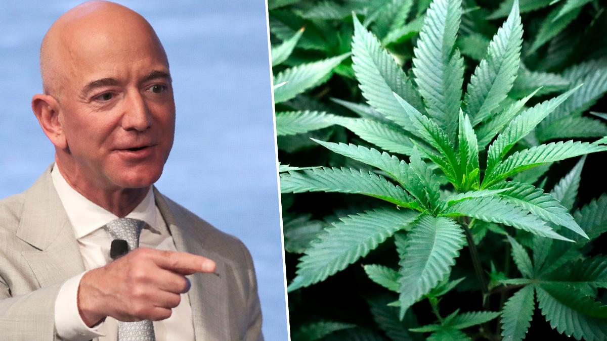 Amazon cannabis