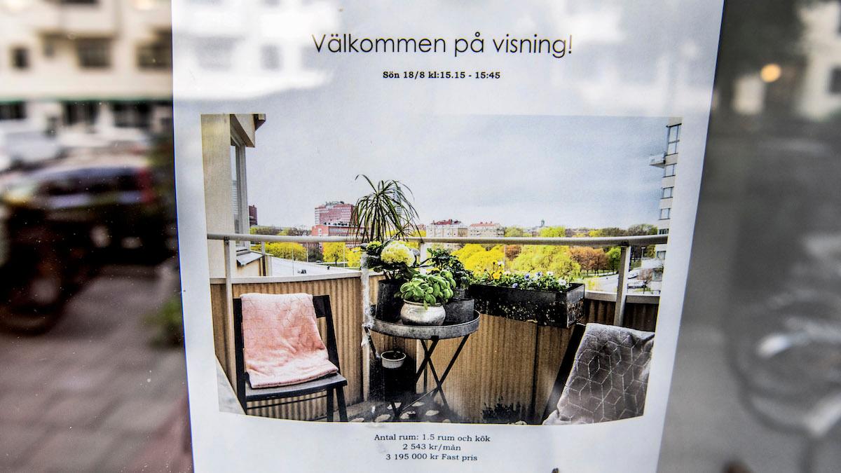 Stekhet bostadsmarknad "trotsar tyngdlagen" – Danske bank