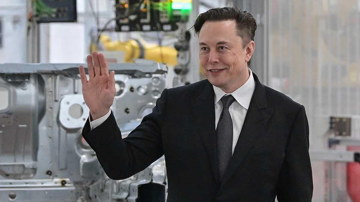 Elon Musk robottaxi