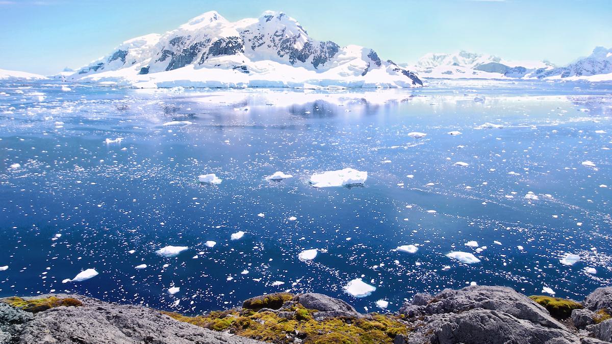 Isen runt Antarktis smälter rekordsnabbt. 
