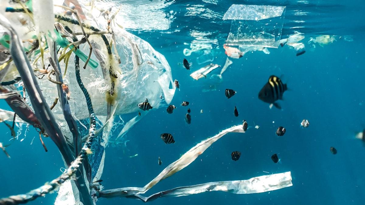 I en ny studie varnar forskare för att det är meningslöst att städa bort plast ur våra hav om vi fortsätter producera den i nuvarande takt
