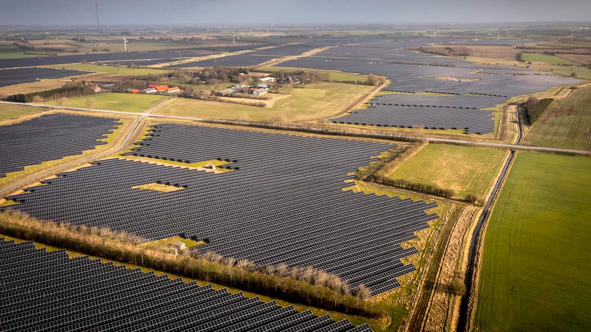 Solcellsanläggningar på 340 hektar omger byn Hjolderup i södra Danmark. I Tyskland och Danmark produceras mycket solel och det påverkar våra elpriser