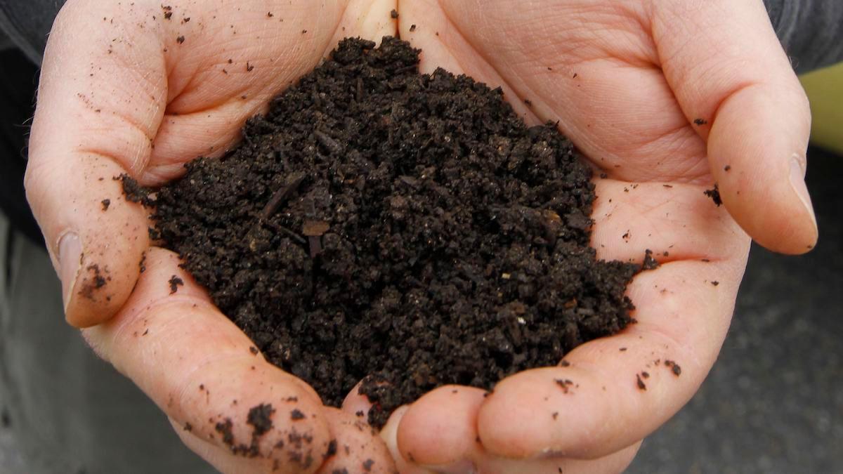 Med den nya begravningsmetoden kompostering blir kroppen jord på sex veckor