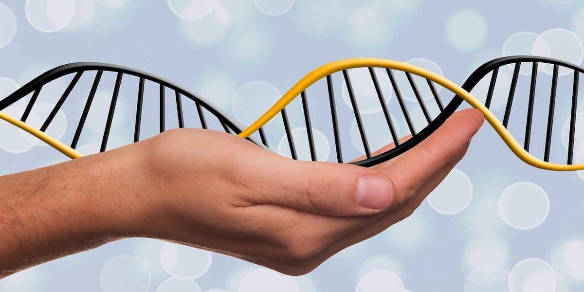 275 miljoner helt nya genetiska varianter har hittats i en ny studie