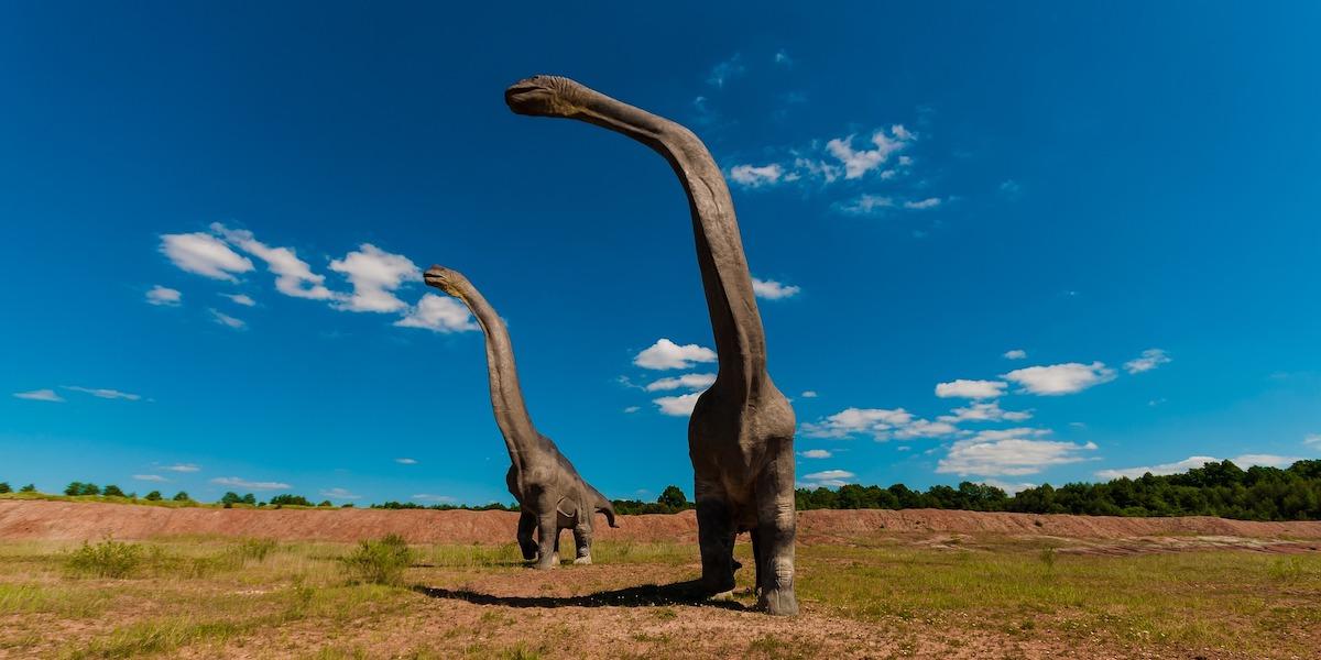 Långhalsade dinosaurier