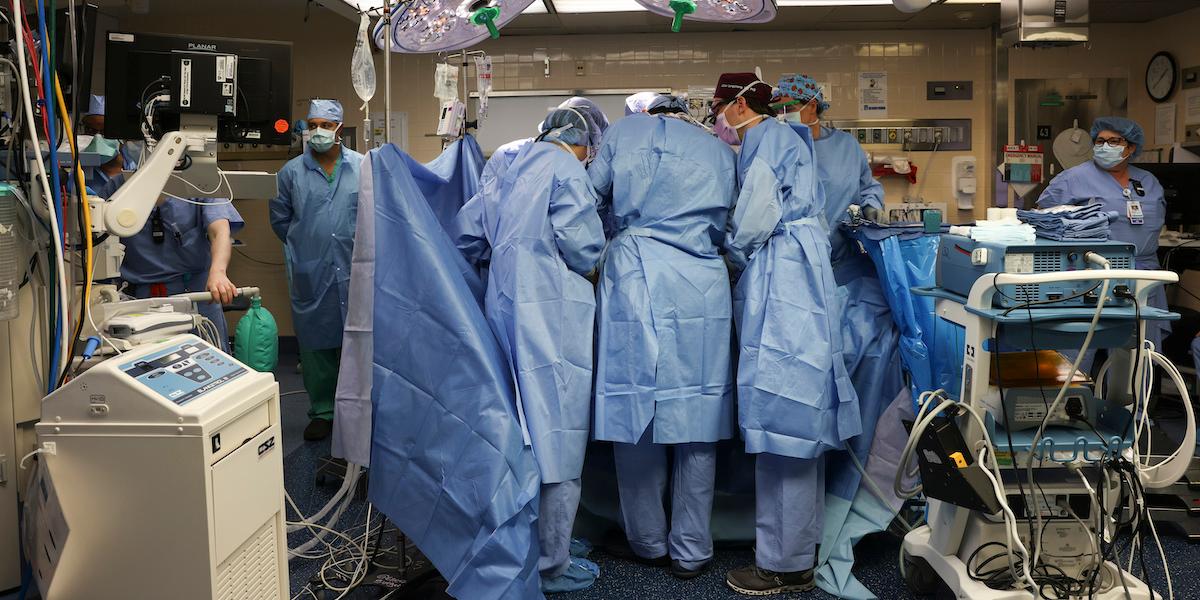 På Massachusetts General Hospital utför kirurger världens första transplantation av en njure från en genetiskt modifierade gris till en levande människa