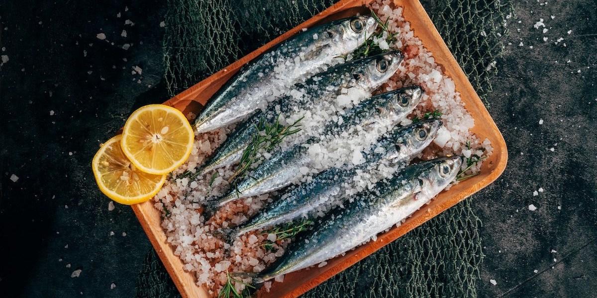 Oljiga fiskar som sardiner är bra för vår hälsa.