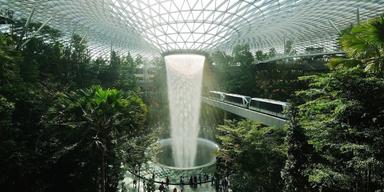 Som en drypande regnskog, fast inomhus. Singapores Changi är världens bästa flygplats.