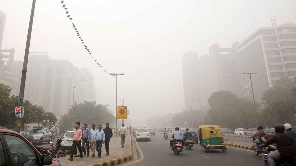 Verkstadsbolaget Volvo räknar med en årlig tillväxt på mellan 10 och 15 procent på den indiska marknaden. Bilden är från New Delhi. (Foto: TT)