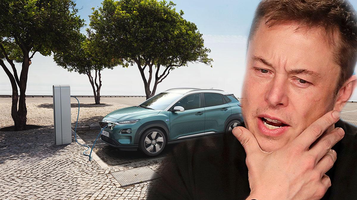 Hyundai skickar gliringar till Teslachefen Elon Musk för att ligga steget efter i utvecklingen av elbilar. (Foto: Hyundai / TT / montage)