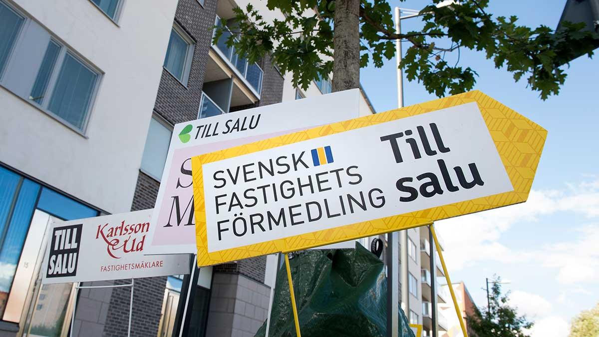 Fler mäklare tror på stigande bostadspriser. (Foto: TT)