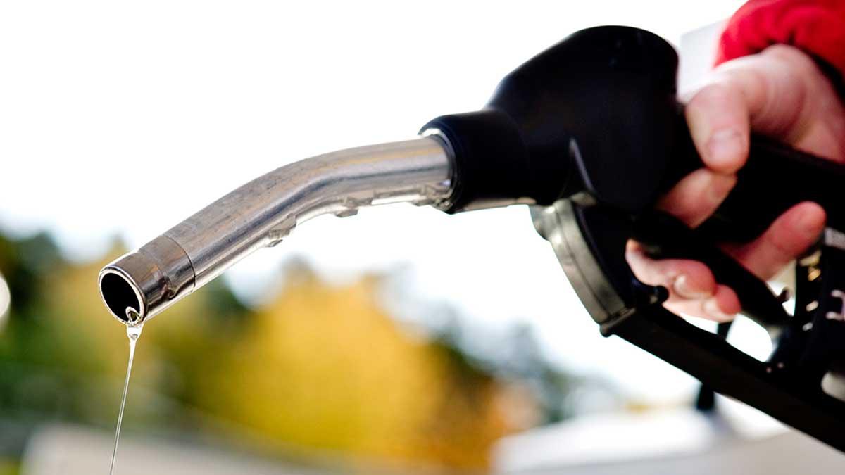 Trots dieselskandalen utklassar Volkswagen Volvo med tre bilar i topp i försäljningsstatistiken över augusti. (TT)