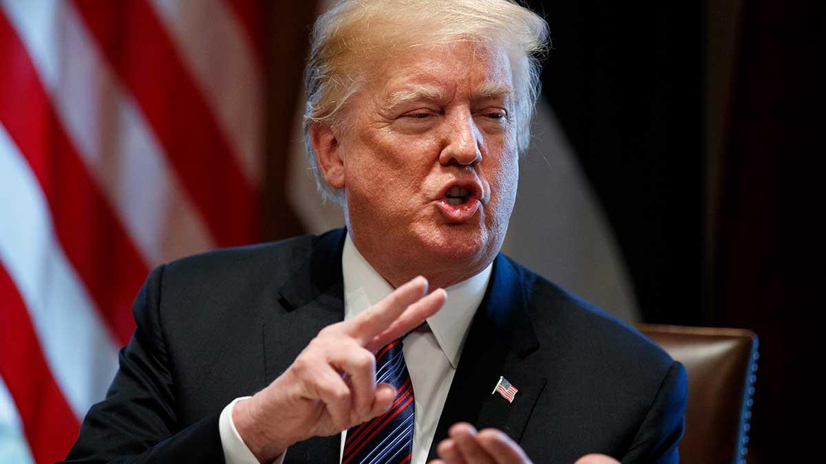 Trumps rådgivare för infrastrukturen