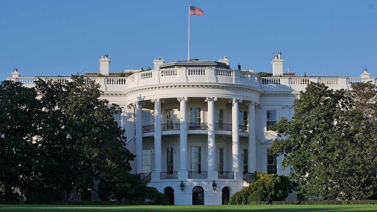 Trump kritiseras för att inte ha varit hård nog under senaste mötet med Rysslands Vladimir Putin – vill presidenten ha revansch? (Foto: TT)