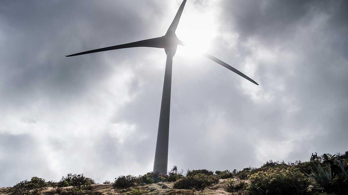 Finansbranschens bästa aktörer är också bäst på gröna investeringar. (Foto: TT)