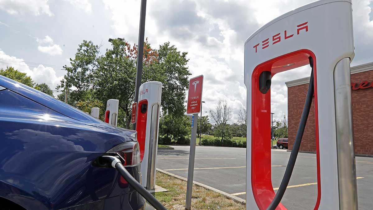 tesla-volkswagen-rykten