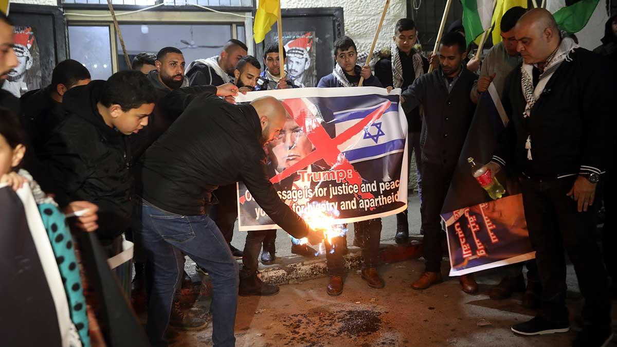 Den palestinska ledningen förkastar Trumps fredsplan och vreden bland palestinier mot USA:s president går inte att ta miste på. (Foto: TT)