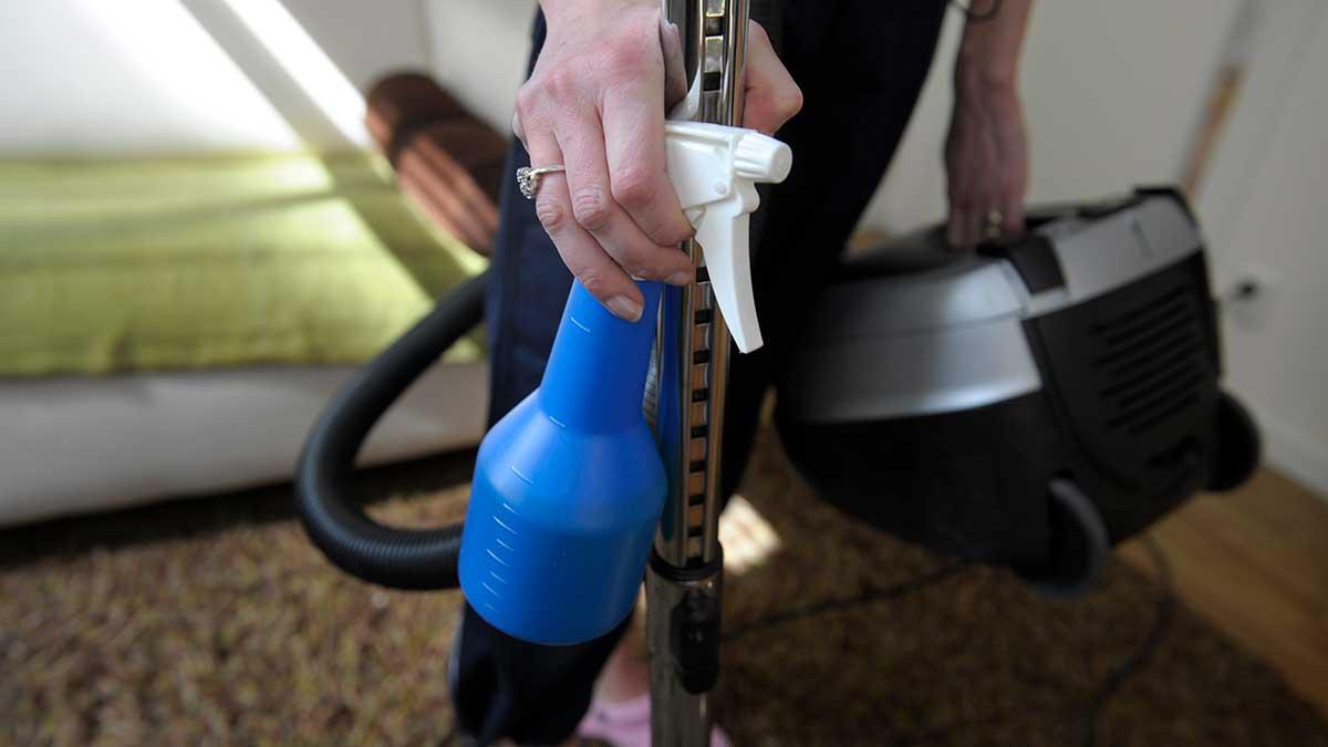 Drygt hälften av Sveriges företagsamma inom välfärdssektorn är kvinnor, och flest finns inom hushållsnära tjänster, Rut, där nästan sju av tio företagsamma är kvinnor, enligt Jakob Steinstö på Svenskt Näringsliv. (Foto: TT)