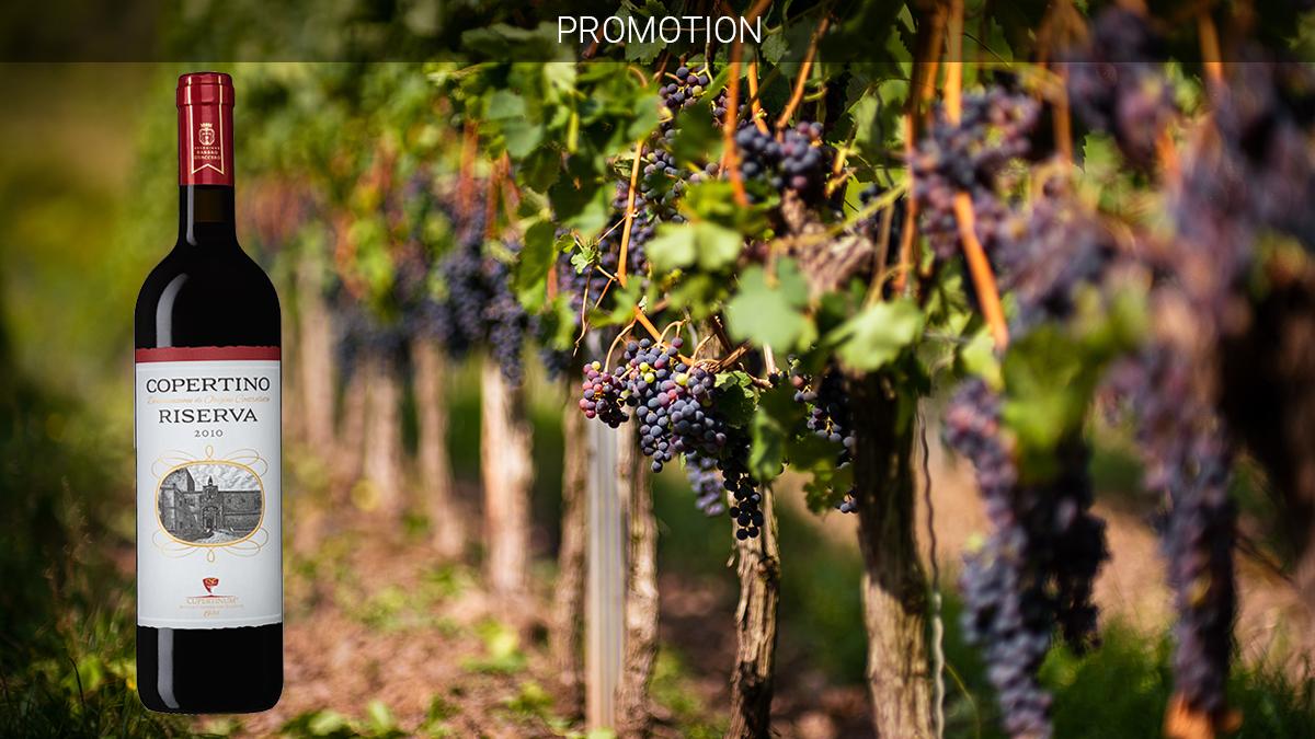 Negroamaro heter druvsorten som är basen till 'kultvinet' Copertino Riserva. Allt fler upptäcker vinet som har funnits på de svenska Systembolagshyllorna i snart 30 år. (Foto: Louis Hansel / Unsplash)