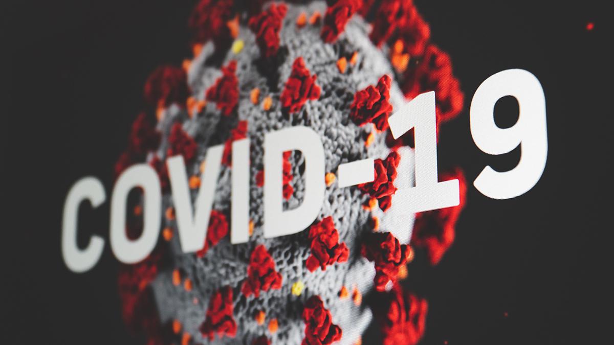Diagrammet visar hur stor del av de totala dödsfallen Covid-19 står för. (Foto: Martin Sanchez/Unsplash)
