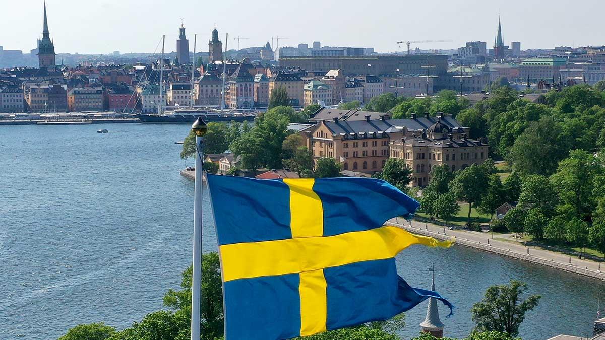 SEB räknar i senaste utgåvan av Investment Outlook att det sker en kort djup recession i år och en snabb återhämtning av ekonomin under nästa år. (Foto: TT)