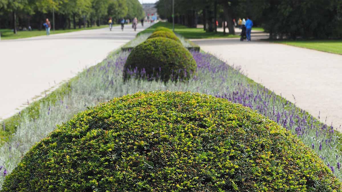 Både brutto- och nettoexponeringen skjuter i höjden, ett varningstecken för börsfall. (Foto: Tobias / Unsplash) hedgefonderna