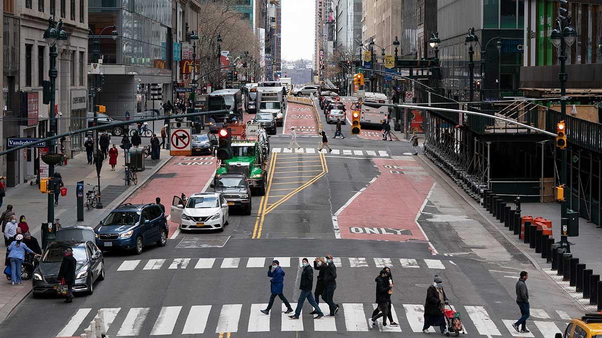 Gata i New York
