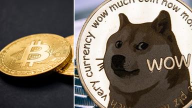Bilden som varit förlaga för dogecoins logga har sålts för fyra miljoner dollar.