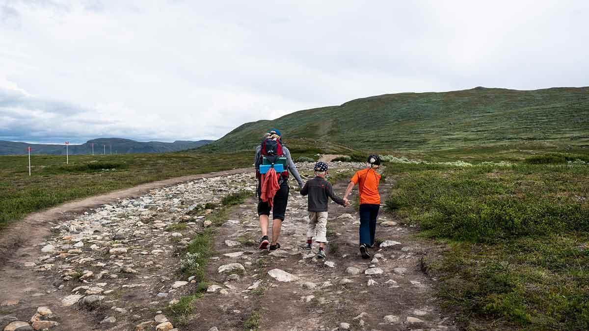 fjällen lockar turistkris