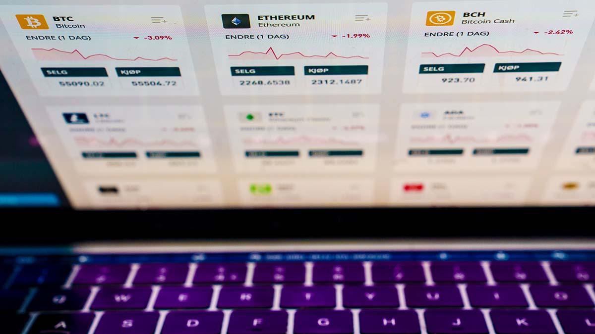 Bitcoin prisinstabilitet beror på hur valutan är uppbyggd och på att tillgången är begränsad