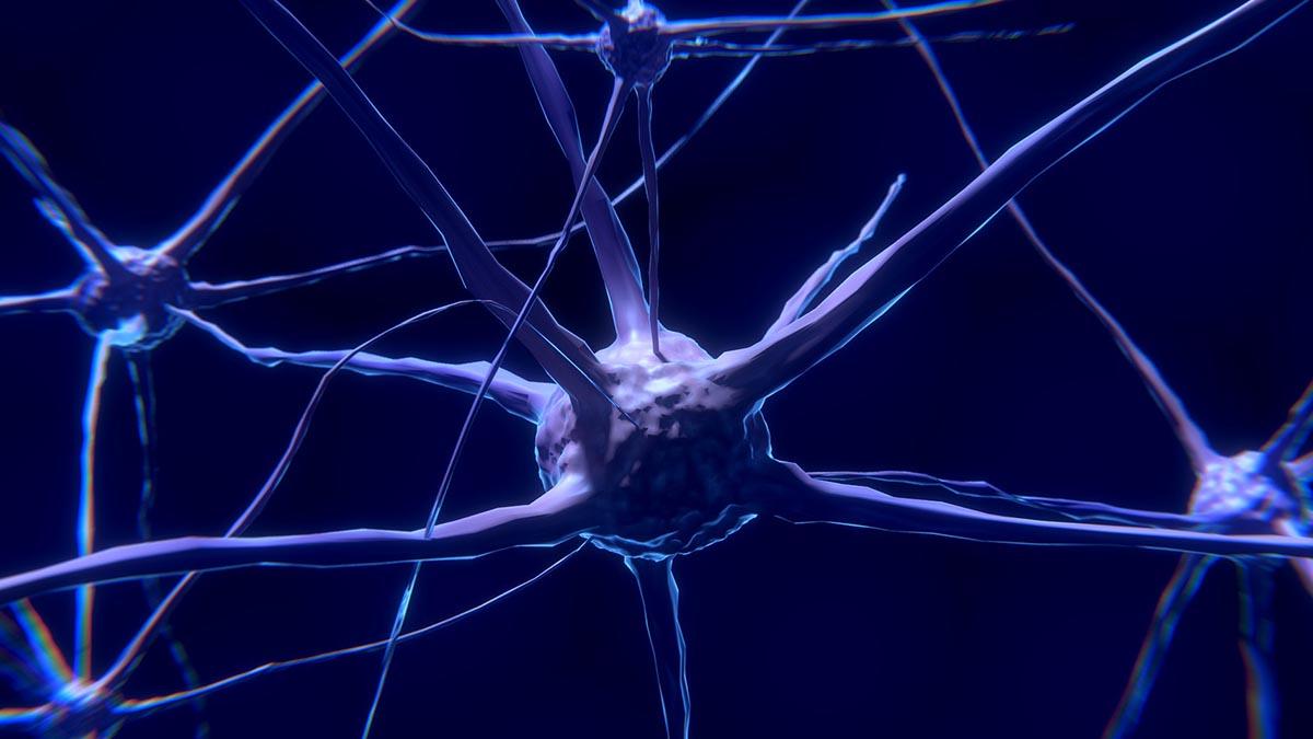 Alzheimers sjukdom, nervceller