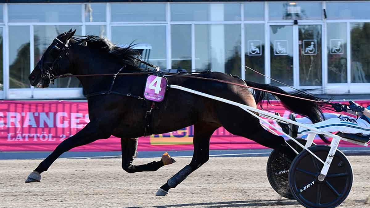 nyföretagandet Sverige