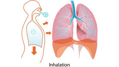 Inhalation Services emitterar teckningsoptioner