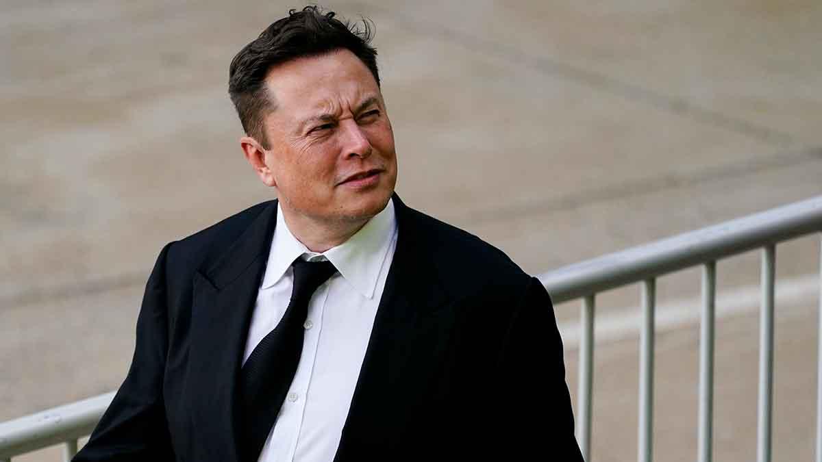 Elon Musk krypto
