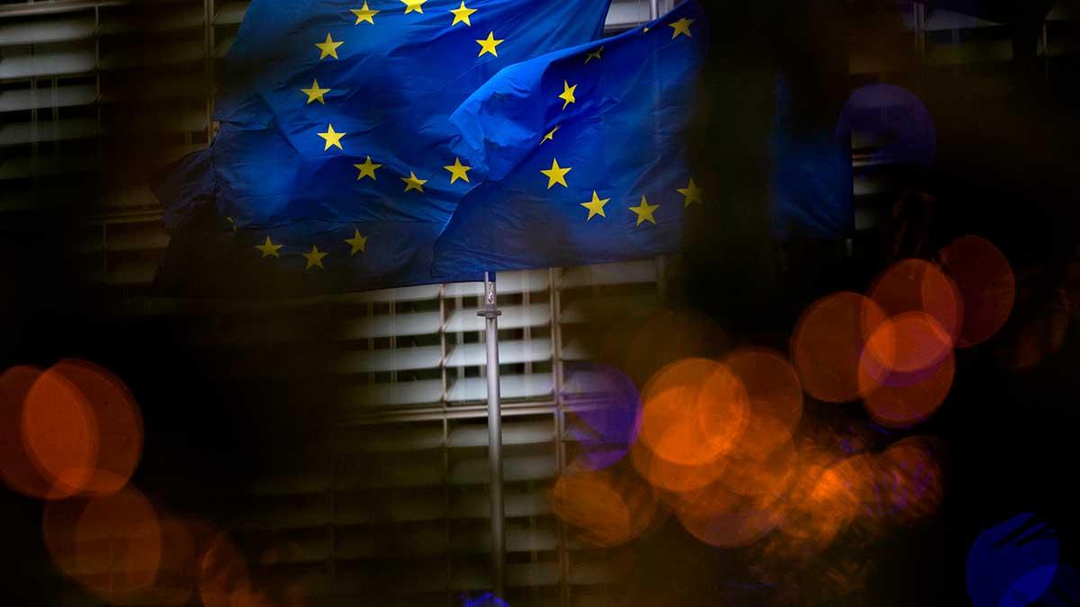ECB ekonomi