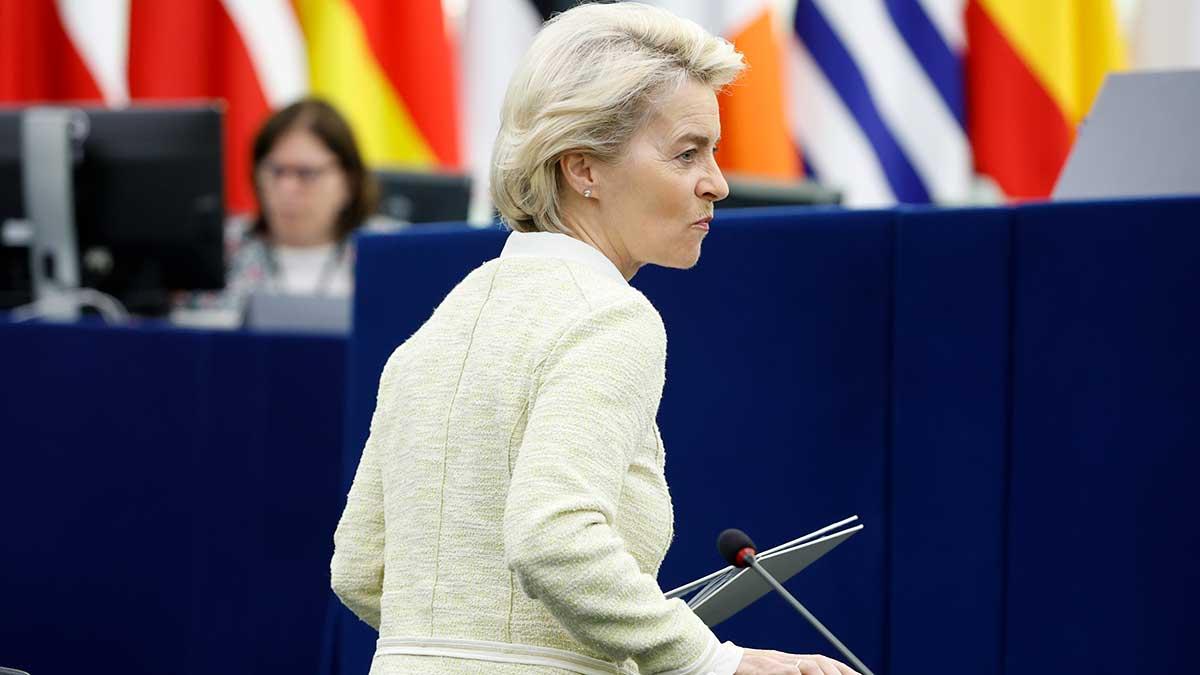 EU-chefen