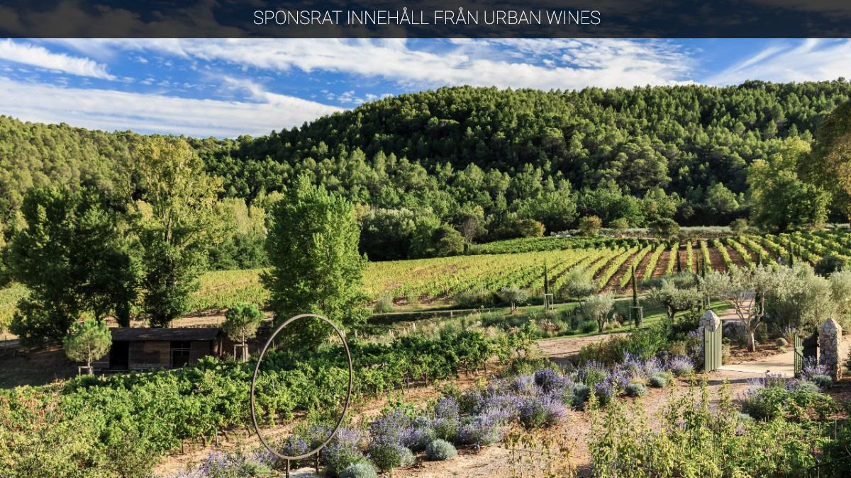 Ultimate Provence