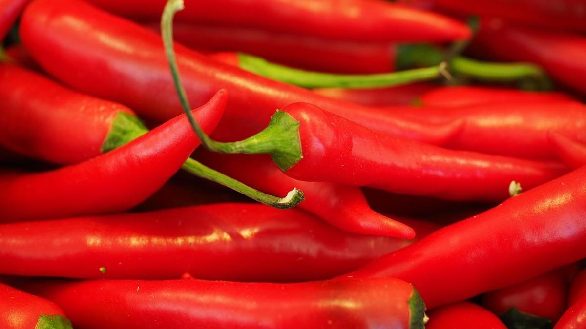 Chilibrist