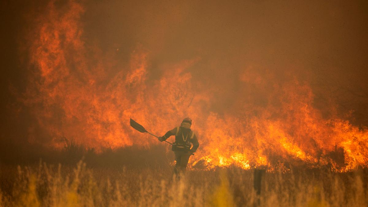 Klimatforskare menar att det inte har forskats tillräckligt om risken för mänsklig utrotning på grund av klimatförändringarna.