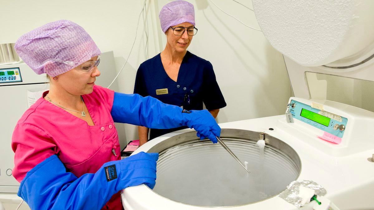 Äggfrysning vid på Nordic IVF Center i Göteborg. En ny studie visar att metoden bara leder till barn i cirka 39 procent av fallen