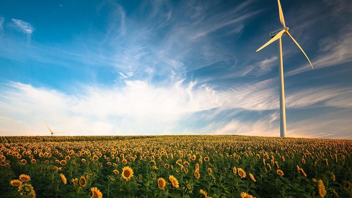 Ukraina